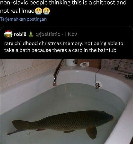 non-slavic people thinking tnis Is а snitpost ano not real erjemahkan postingan robis A @joeltistic 1 Nov rare childhood christmas memory: not being able to take a bath because theres a carp in the ba