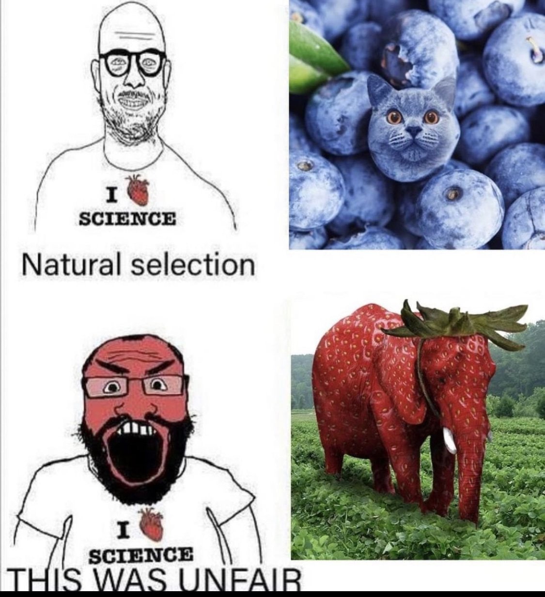 1§ SCIENCE Natural selection SCIENCE