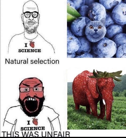 1§ SCIENCE Natural selection SCIENCE