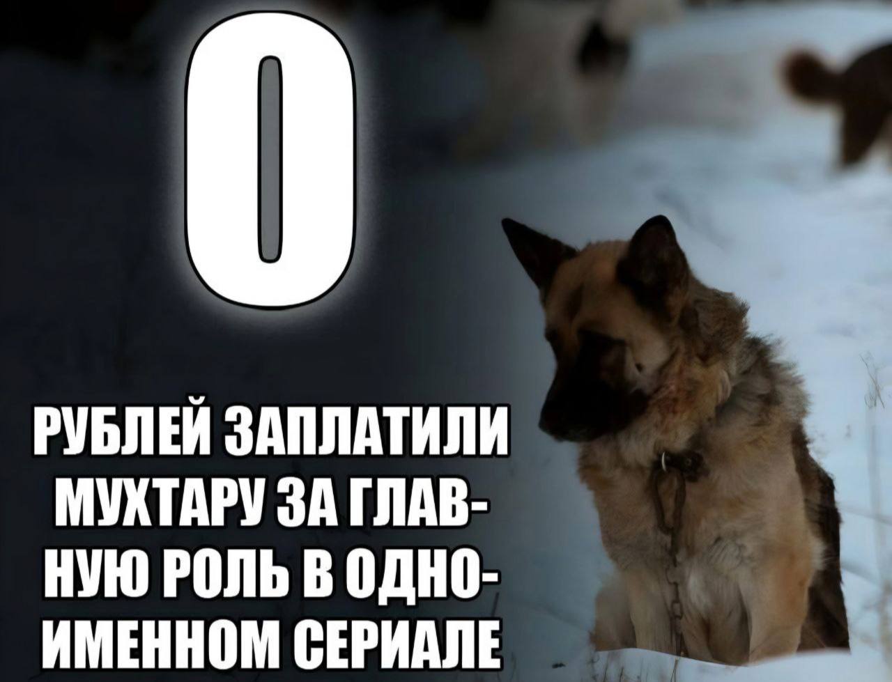 РУБЛЕЙ ЗАПЛАТИЛИ МУХТАРУ ЗА ГЛАВ- НУЮ РОЛЬ В ОДНО- ИМЕННОМ СЕРИАЛЕ