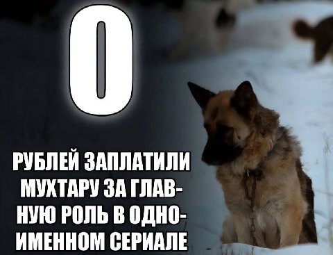 РУБЛЕЙ ЗАПЛАТИЛИ МУХТАРУ ЗА ГЛАВ- НУЮ РОЛЬ В ОДНО- ИМЕННОМ СЕРИАЛЕ