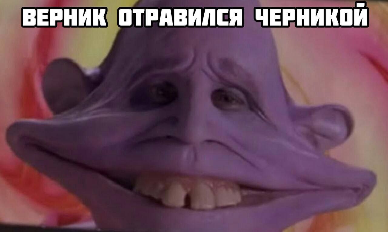 ВЕРНИК ОТРАВИЛСЯ ЧЕРНИКОЙ