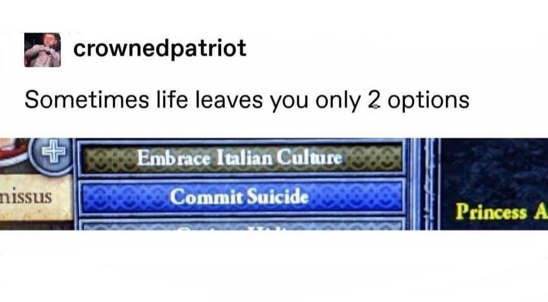 crownedpatriot Sometimes life leaves you only 2 options Commit Suicide Princess