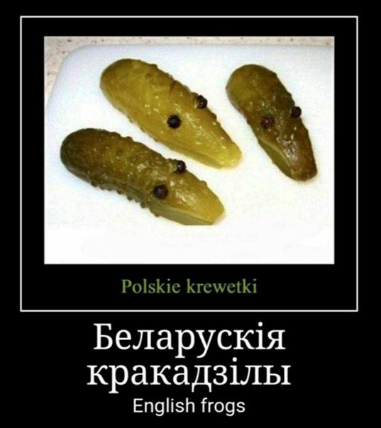 Polskie krewetki Беларускя кракадз1лы English frogs