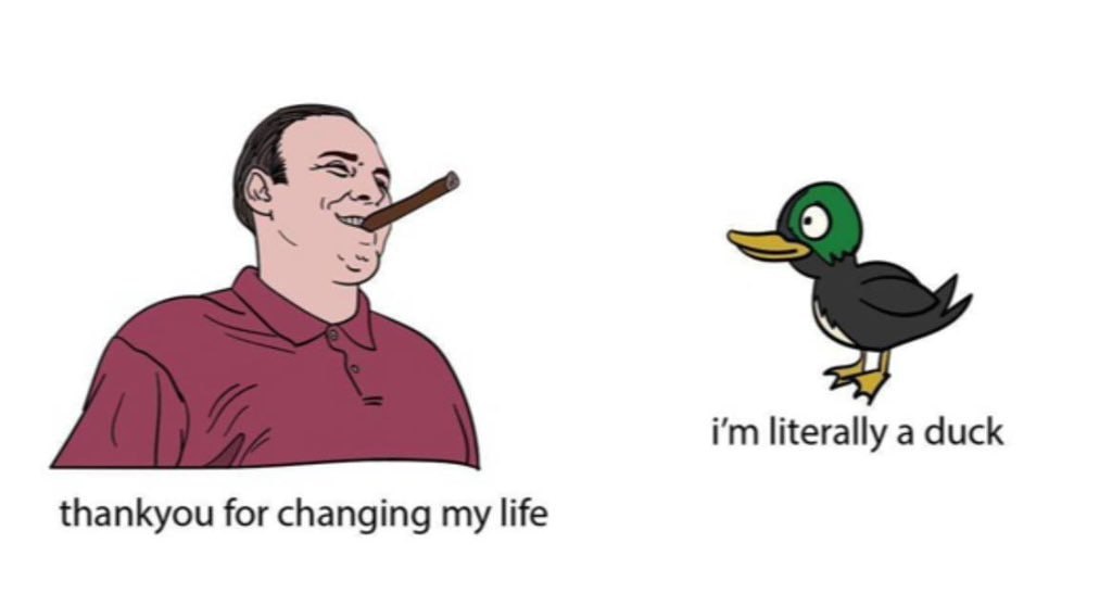 literally а duck thankyou for changing my life