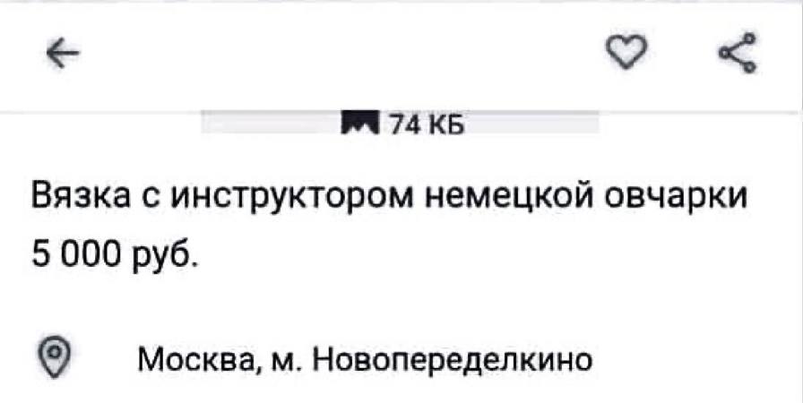 74 Вязка с инструктором немецкой овчарки 5 000 руб. Москва, Новопеределкино