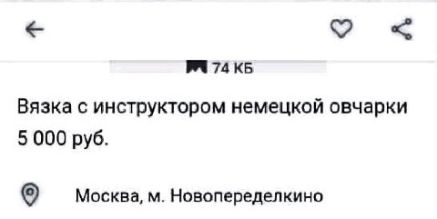 74 Вязка с инструктором немецкой овчарки 5 000 руб. Москва, Новопеределкино
