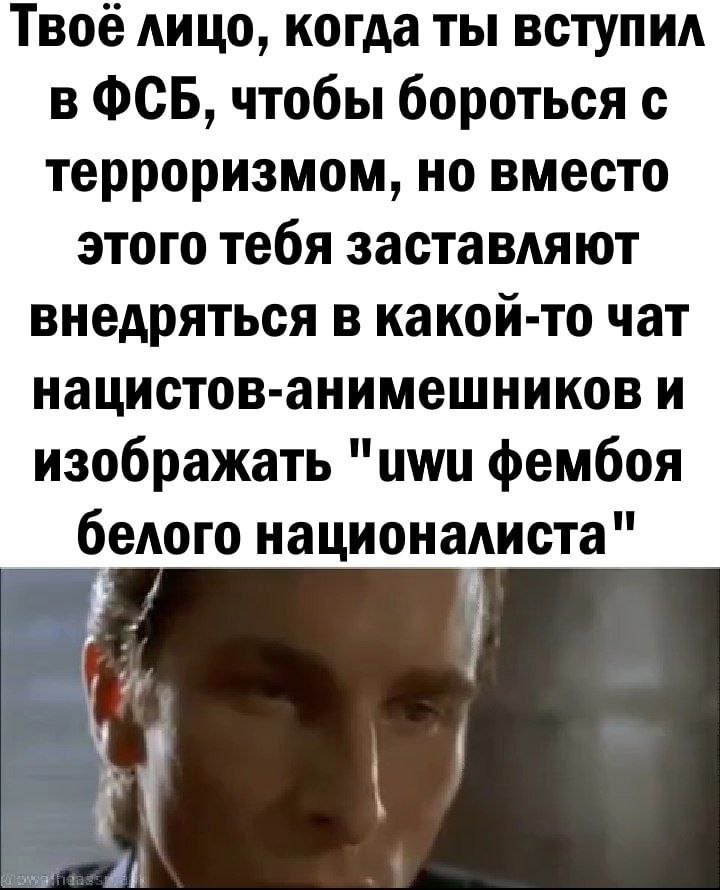Твоё лицо, когда ты вступил в ФСБ, чтобы бороться с терроризмом, но вместо этого тебя заставляют внедряться в какой-то чат нацистов-анимешников и изображать "ими фембоя белого
