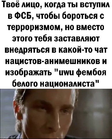 Твоё лицо, когда ты вступил в ФСБ, чтобы бороться с терроризмом, но вместо этого тебя заставляют внедряться в какой-то чат нацистов-анимешников и изображать "ими фембоя белого