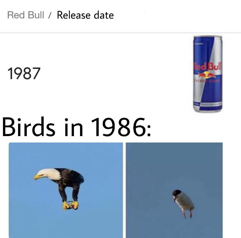 Red Release date 1987 Birds in 1986: