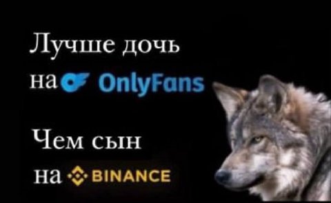 Лучше дочь OnlyFans Чем сын На BINANCE