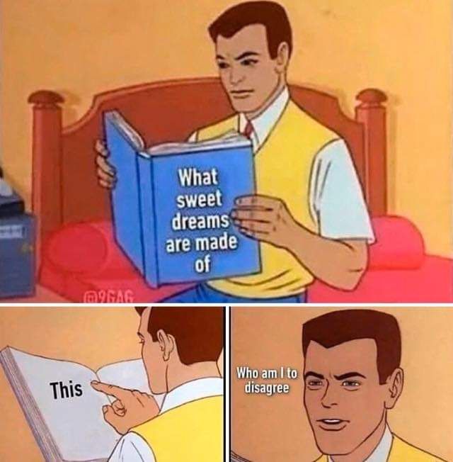 What sweet dreams are made of Who disagree