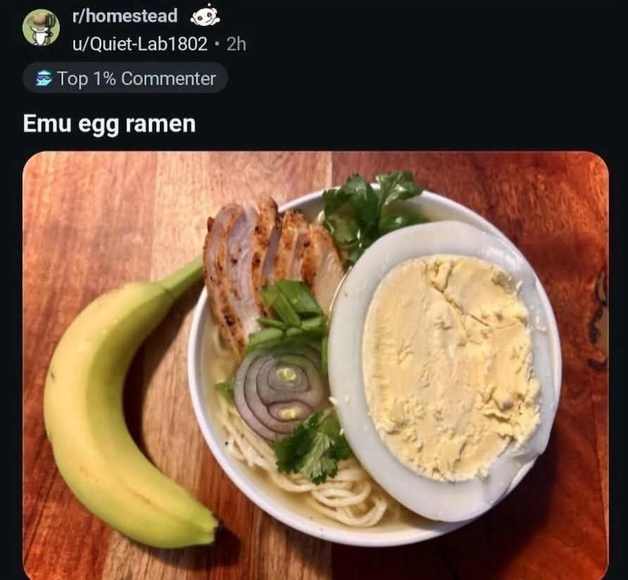 r/homestead u/Quiet-Lab1802 Top 1% Commenter Emu egg ramen в.