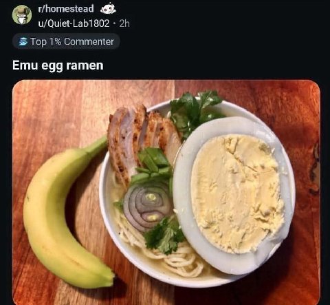 r/homestead u/Quiet-Lab1802 Top 1% Commenter Emu egg ramen в.