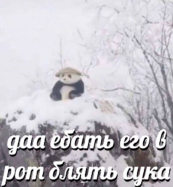даа ебать ротс