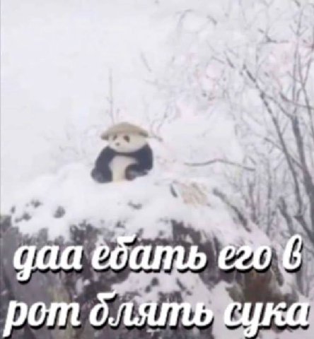 даа ебать ротс