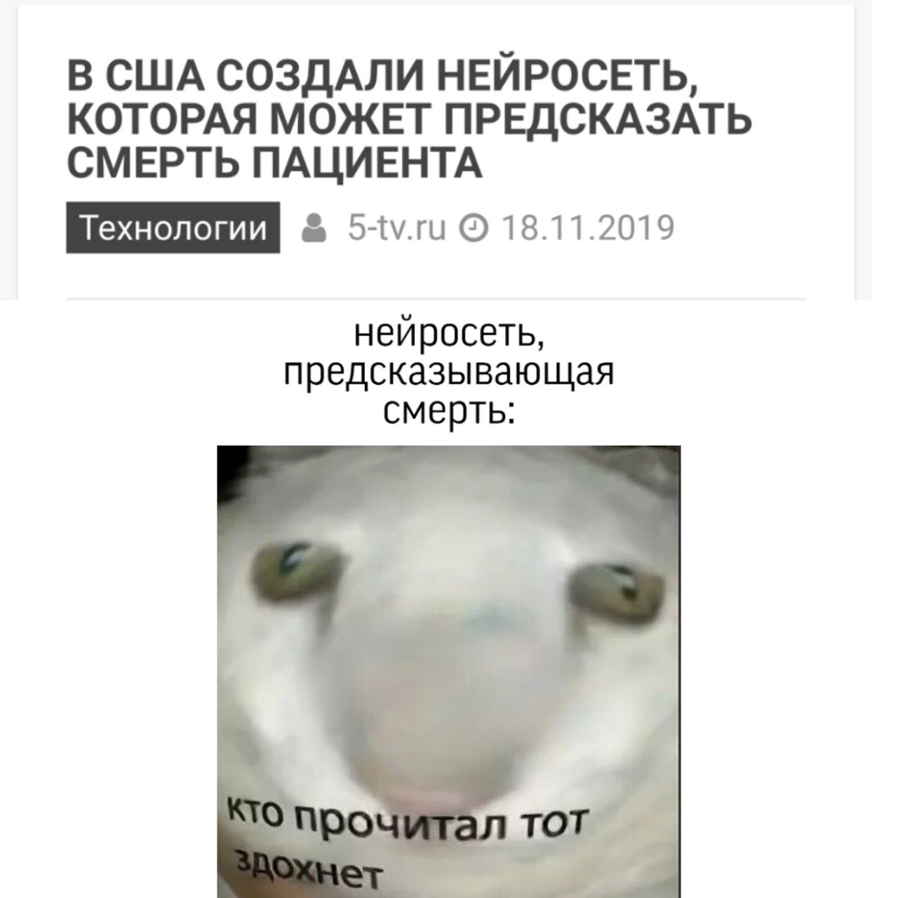 Обожаю делать дегенератские мемы, простите.