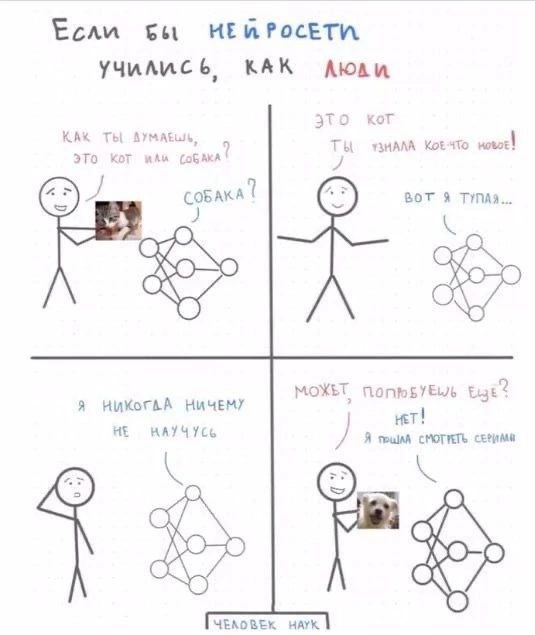 Если учились, КАК это КАК ТЫ о ЭТО Кот WAU (oGAKA COBAKA BOT A TYNAS... МОХЬТ Eye? Я НИЧЕМУ 2 НЕТ! HE ЧЕКОВЕК НАУК