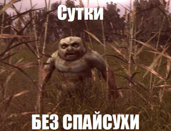 БЕЗ СПАИСУХИ