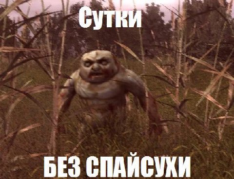 БЕЗ СПАИСУХИ