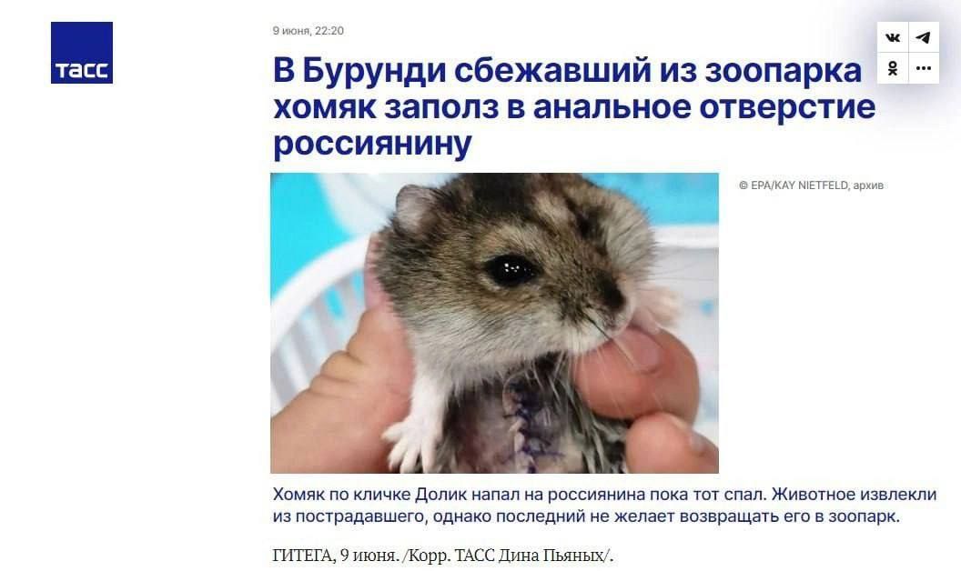 Страшно представить, что с Бибером