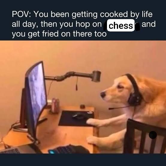 POV: You been getting cooked life all day, then you hop on and you get fried on there too