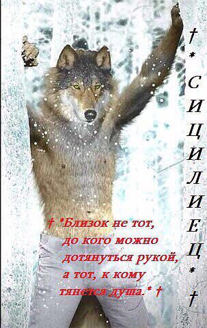 #3 1С HEC ТОТ, ого можно рукой, к кому 4
