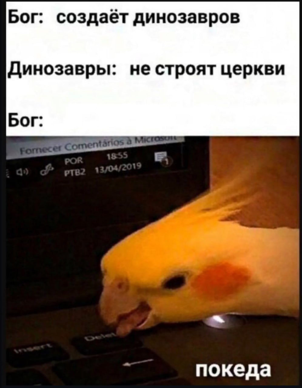Бог: создаёт динозавров Динозавры: не строят церкви Бог: покеда