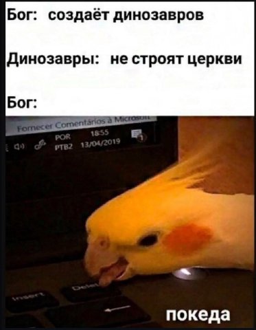 Бог: создаёт динозавров Динозавры: не строят церкви Бог: покеда