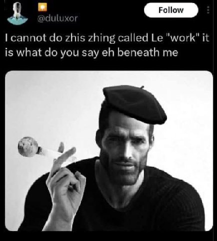 duluxor cannot zhis zhing called "work" it is what you say beneath me у