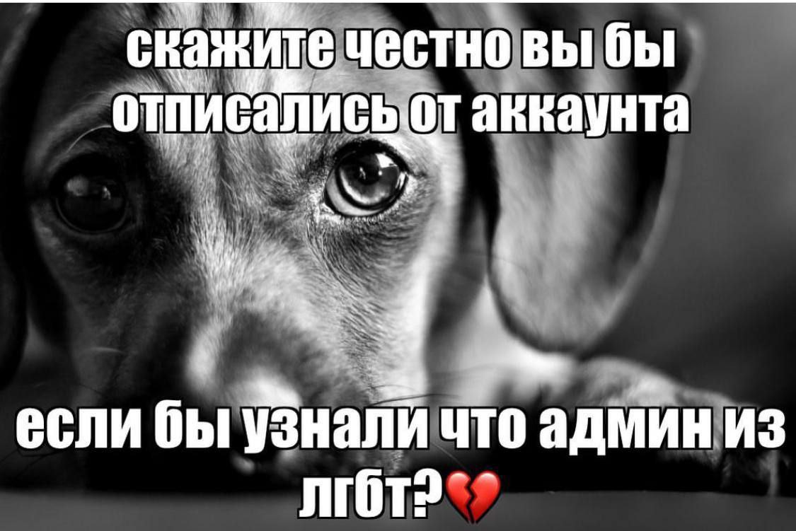скажит ечестно вы бы аккаунта если бы узнали что админ из