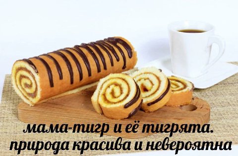 =5 he. 3$ я 2 4 3 у a, 5 я 4 9 2 2 2 I #7 а 201