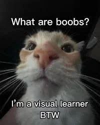 What are boobs? а visual learner BIw