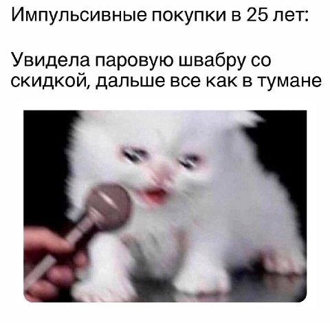 Импульсивные покупки в 25 лет: Увидела паровую швабру скидкой, дальше все как в тумане