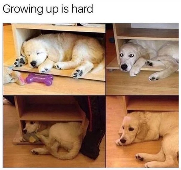 😭