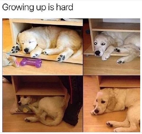 😭