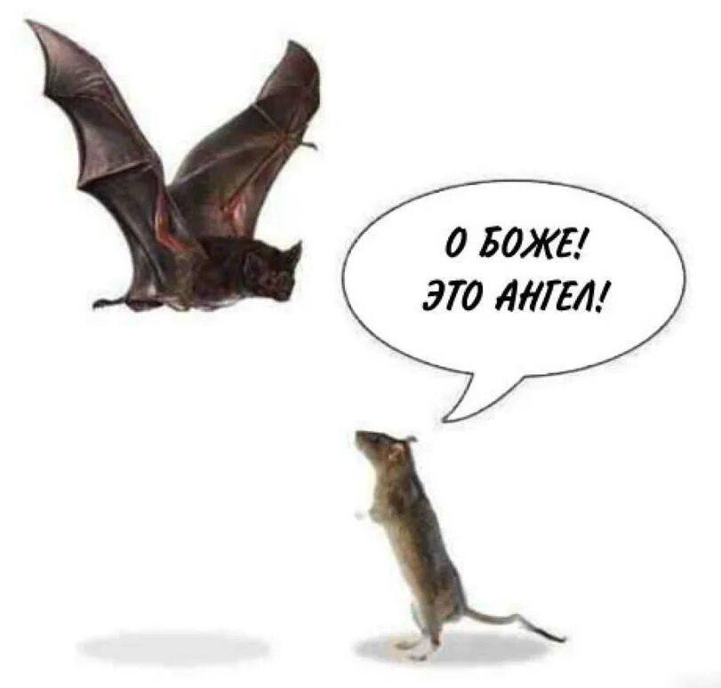 ЭТО