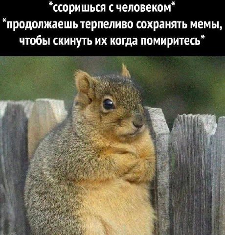ссоришься с человеком продолжаешь терпеливо сохранять мемы, чтобы скинуть когда помиритесь 4