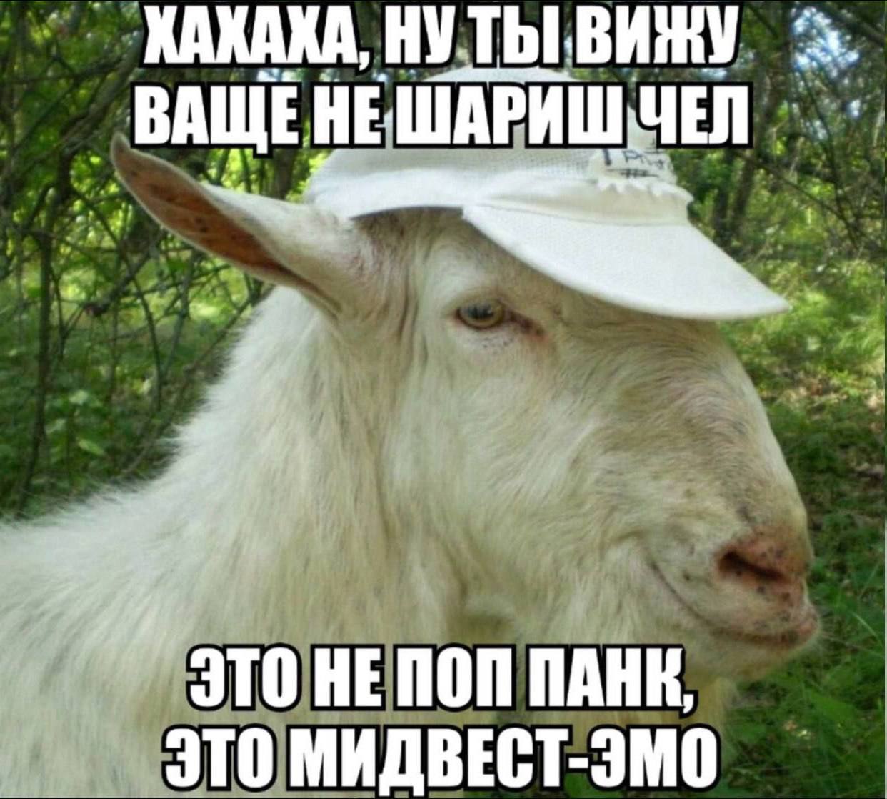 ХАХАХА, НУТЬ ВИЖУ ВАЩЕ 4 ЭТО HE NON MARK ЭТО МИДВЕСТ-ЭМО