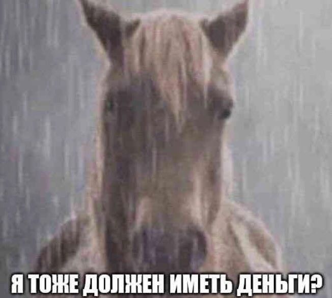 Я ТОНЕ ДОЛЖЕН ИМЕТЬ ДЕНЬГИ?