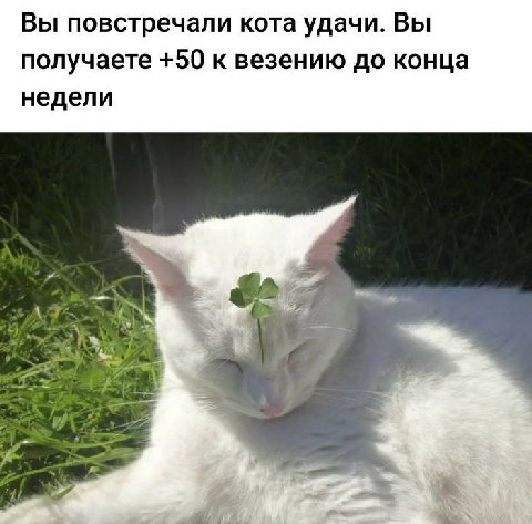 Вы повстречали кота удачи. Вы получаете +50 к везению до конца недели