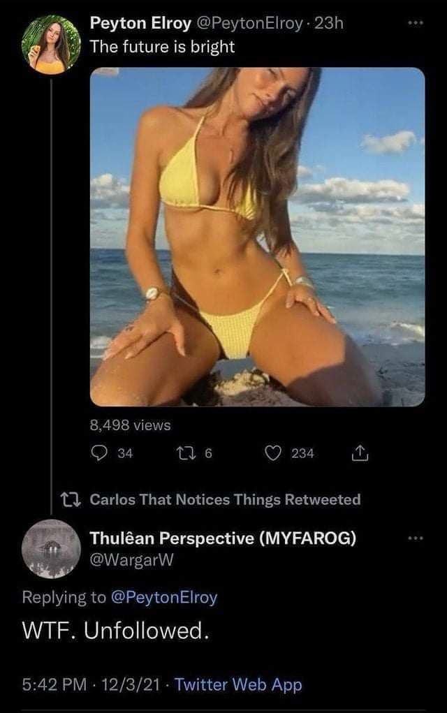 Peyton Elroy @PeytonElroy The future is AN арх, 8,498 views 34 6 234 1}. Carlos That Notices Things Retweeted Thuléan Perspective (MYFAROG) @WargarW Replying to @PeytonElroy WTF. Unfollowed. 5:42 12/3