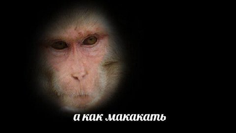 акак макакать