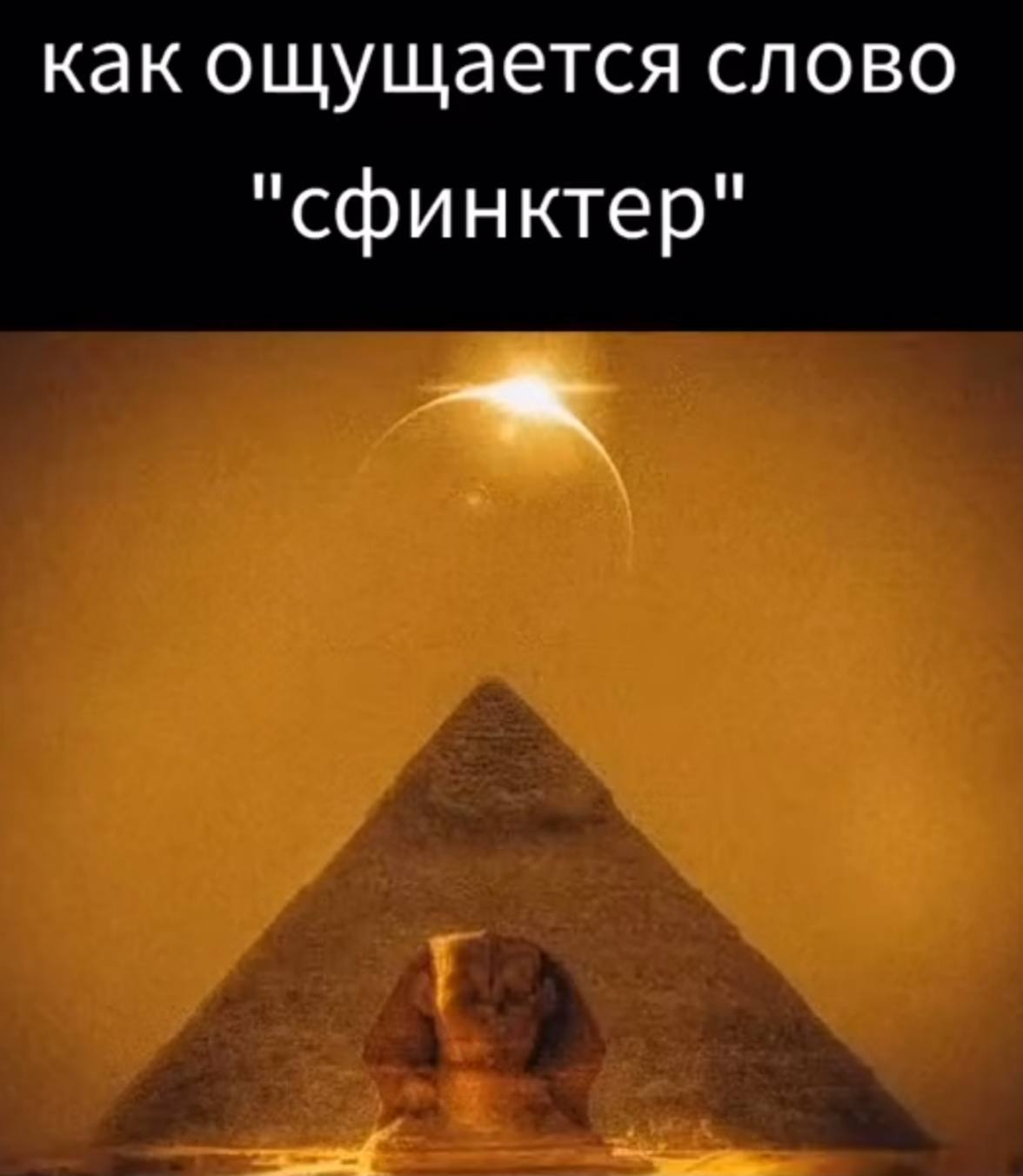 как ощущается слово "сфинктер"