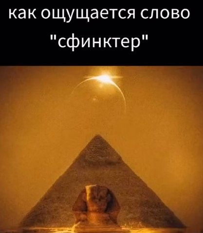 как ощущается слово "сфинктер"
