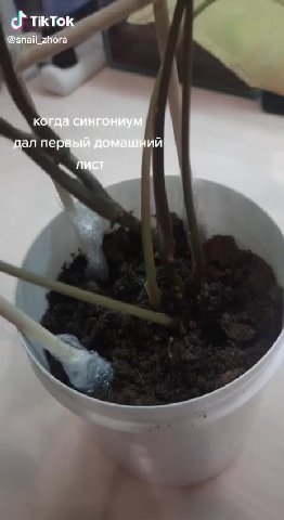 ФЛЕК$$$
