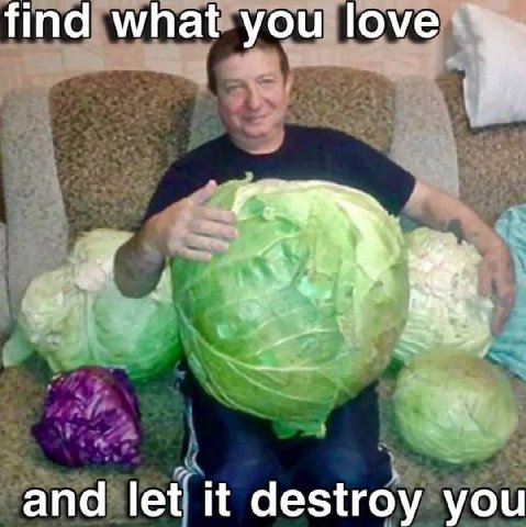 find what you love and let it destroy you