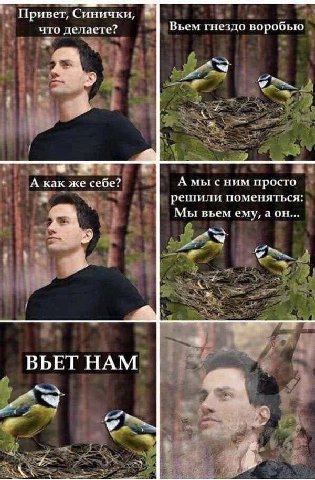 Привет, Синички, у что делаете? Вьем гнездо воробью a oom a А как же себе? A мысним просто решили поменяться: Мы вьем ему, аон... ВЬЕТНАМ