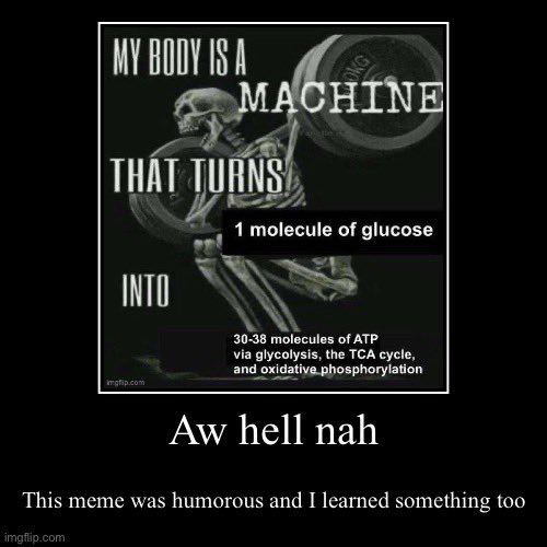 А МАСНТМЕ THAT TURNS 1 molecule of glucose 30-38 molecules of ATP via glycolysis, the TCA cycle, and oxidative phosphorylation hell nah This meme was humorous and learned something toe