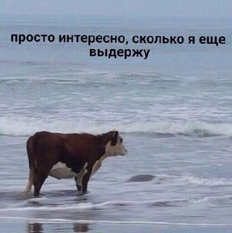 просто интересно, сколько я еще выдержу
